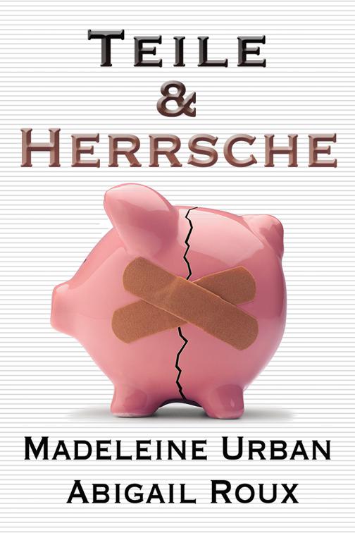 This image is the cover for the book Teile & Herrsche, Ty & Zane (Deutsch)