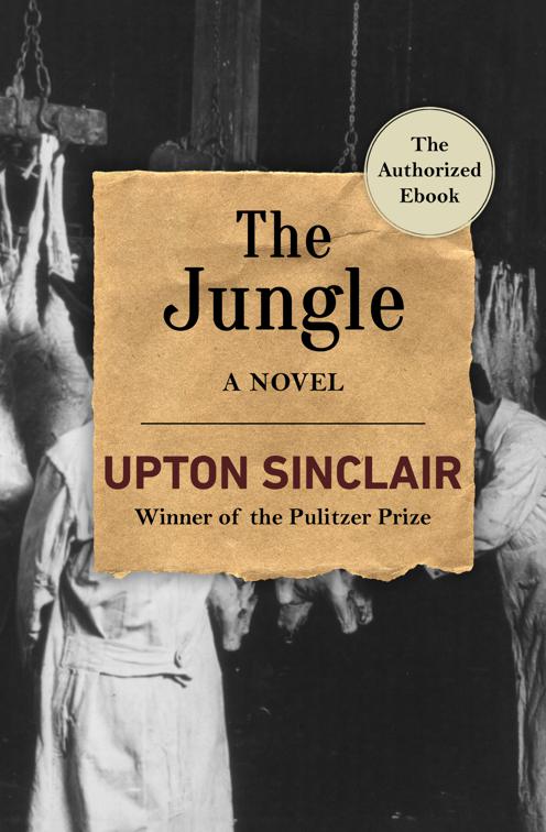 Jungle