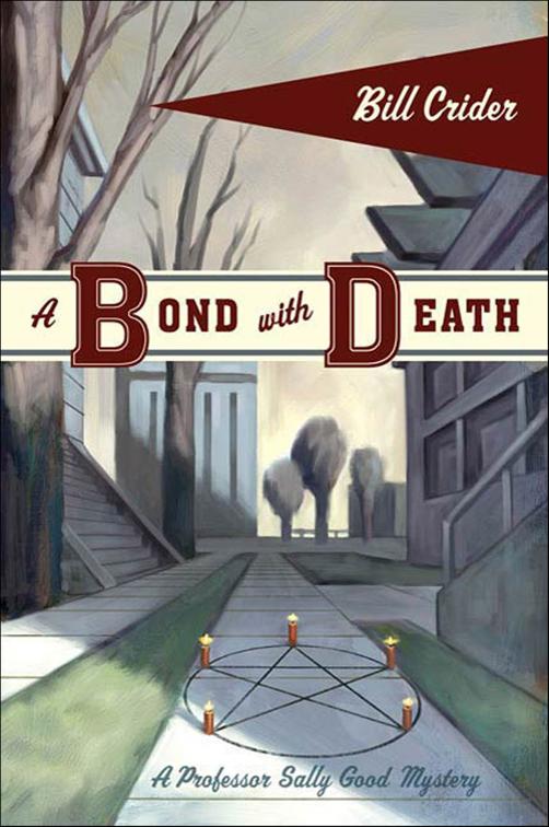 A Bond with Death, Professor Sally Good Mysteries
