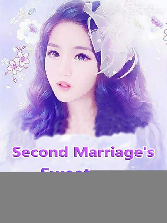 Second Marriage&#x27;s Sweetness, Volume 1