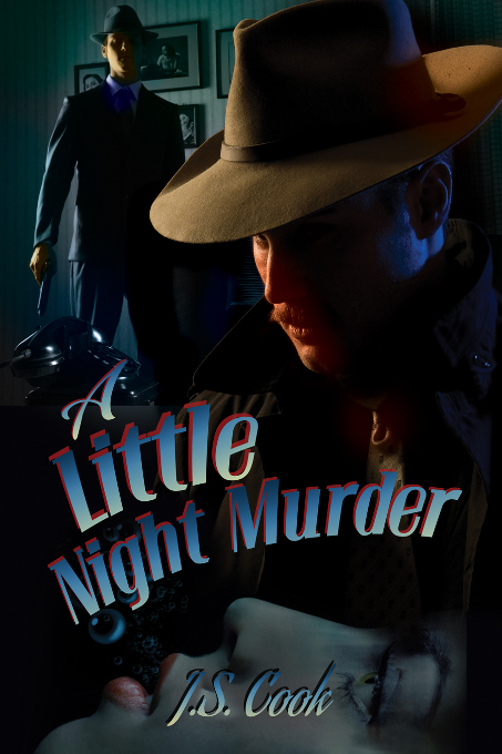 This image is the cover for the book A Little Night Murder