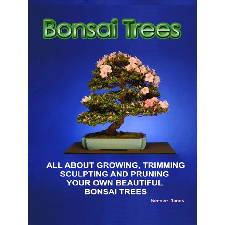 Bonsai Trees, Correct Times