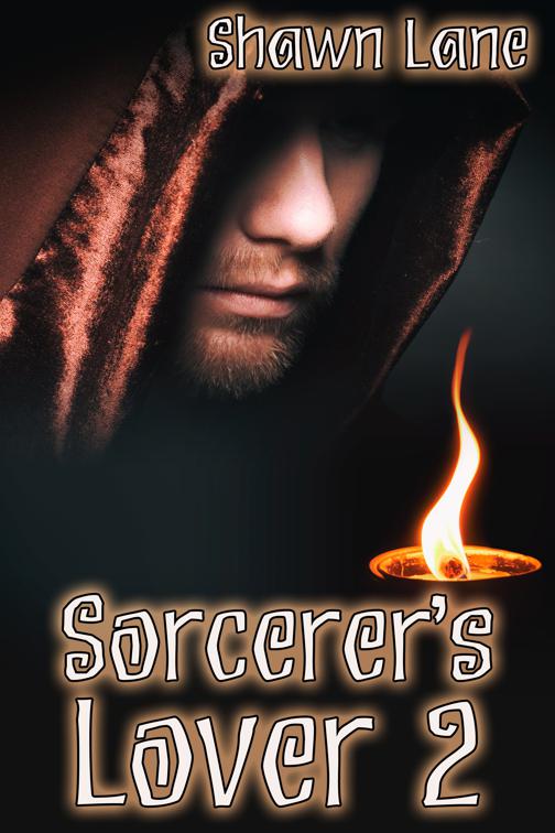 Sorcerer&#x27;s Lover 2