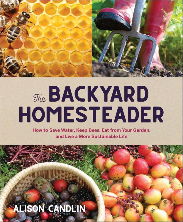 Backyard Homesteader