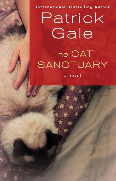 Cat Sanctuary