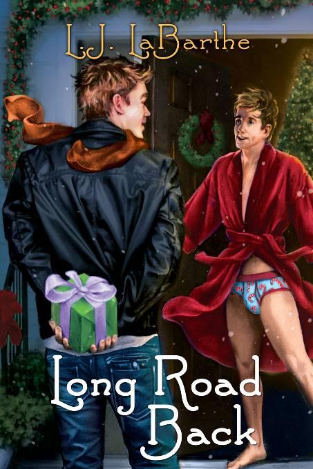 This image is the cover for the book Long Road Back, 2011 Advent -