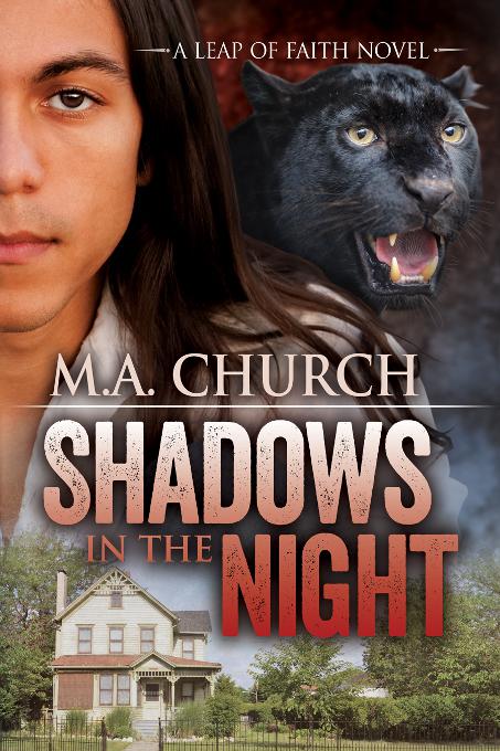 Shadows in the Night, Leap of Faith
