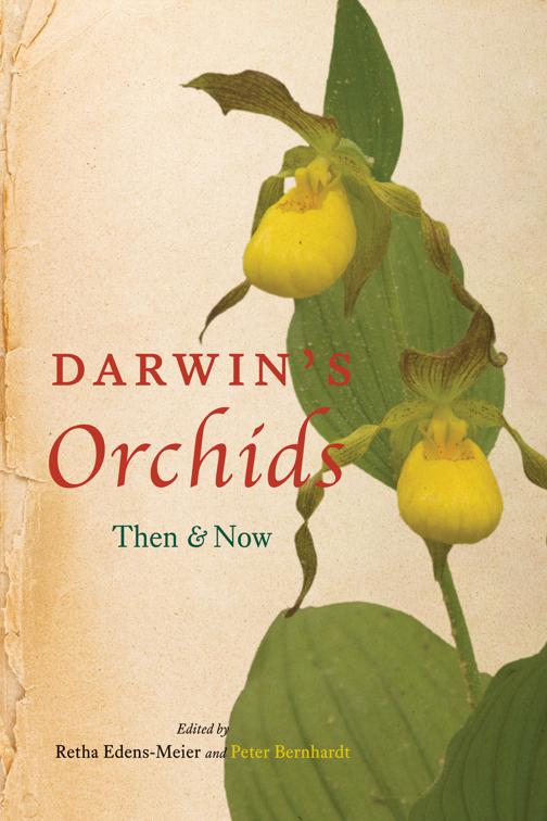 Darwin&#x27;s Orchids