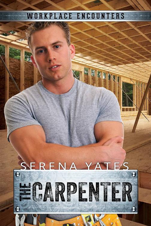This image is the cover for the book The Carpenter, Workplace Encounters