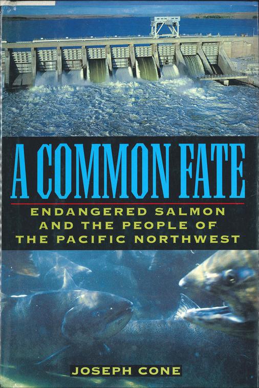 Common Fate