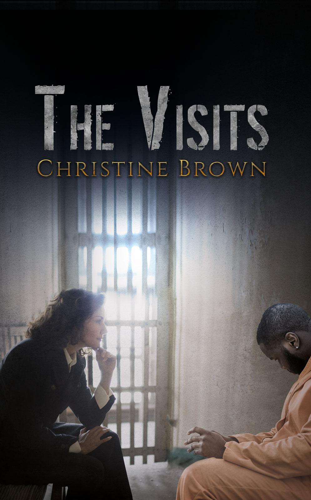 This image is the cover for the book The Visits