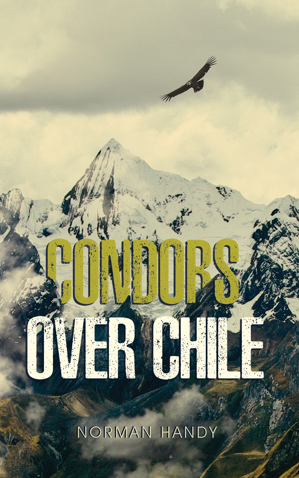 This image is the cover for the book Condors Over Chile