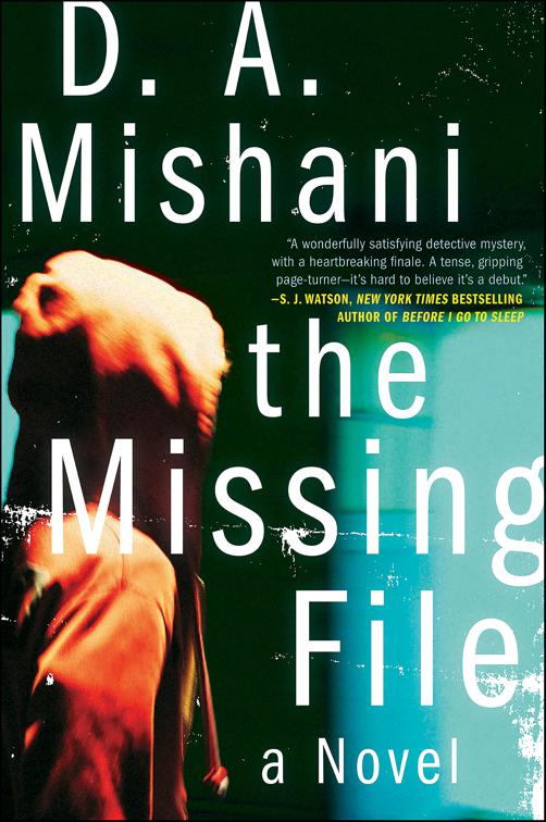 Missing File, Avraham Avraham Series