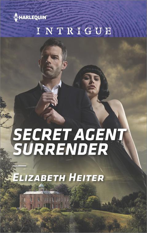 Secret Agent Surrender, The Lawmen: Bullets and Brawn