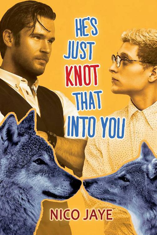 This image is the cover for the book He's Just Knot That Into You