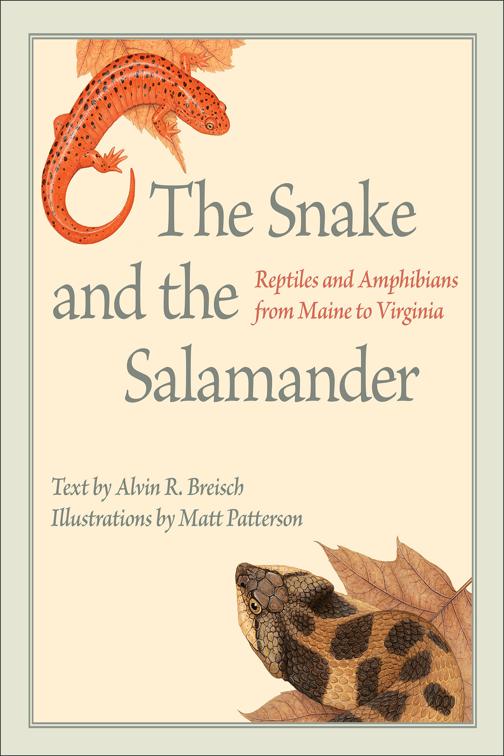 Snake and the Salamander