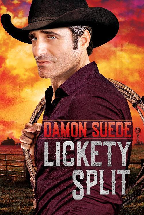 This image is the cover for the book Lickety Split