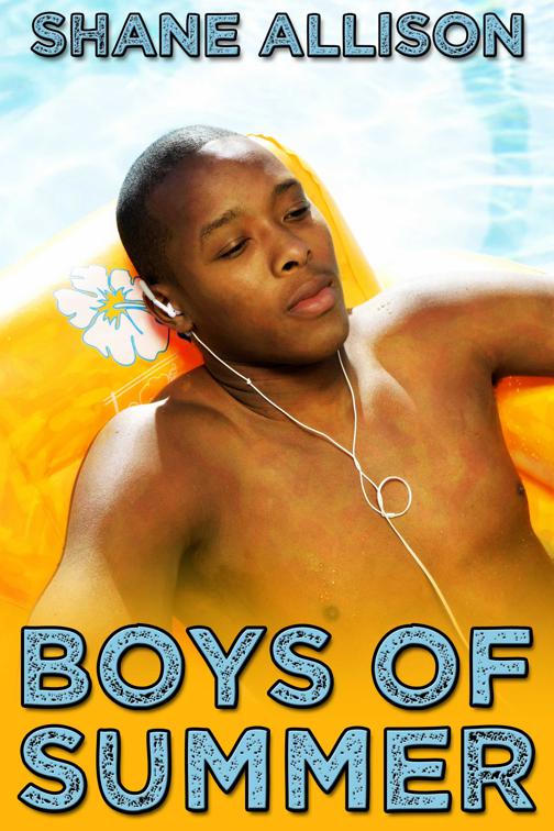 This image is the cover for the book Boys of Summer