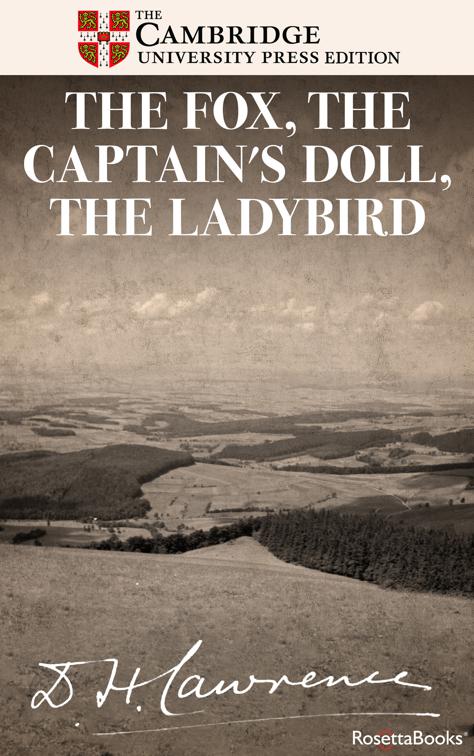 Fox, The Captain&#x27;s Doll, The Ladybird