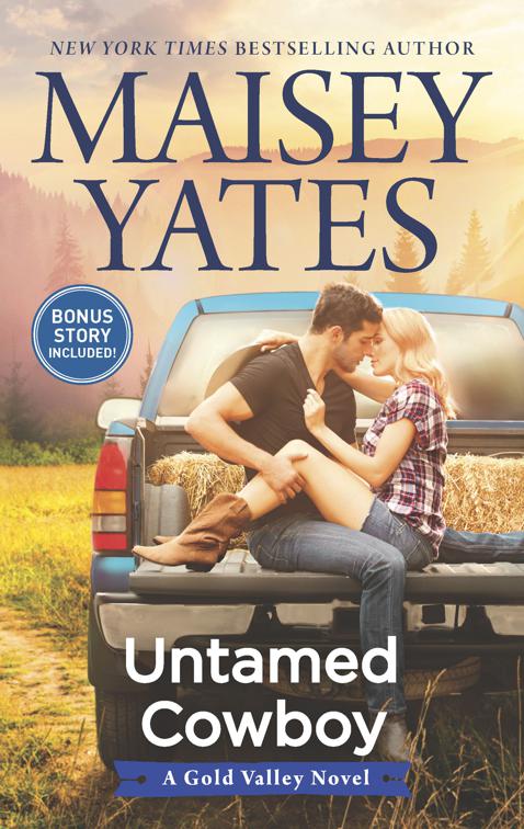 Untamed Cowboy, The Gold Valley Novels