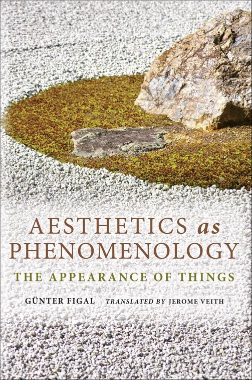 Aesthetics as Phenomenology, Studies in Continental Thought