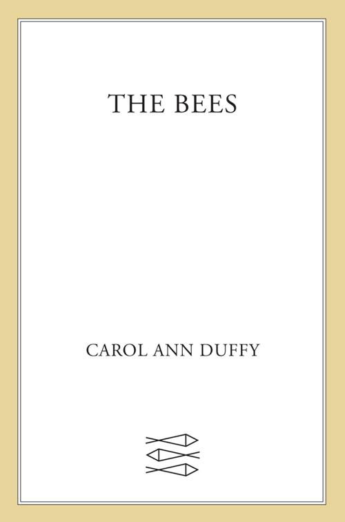 Bees
