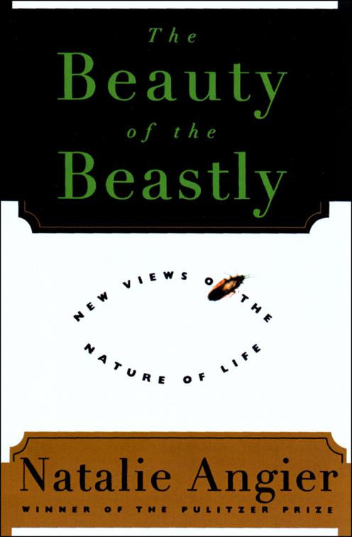 Beauty of the Beastly