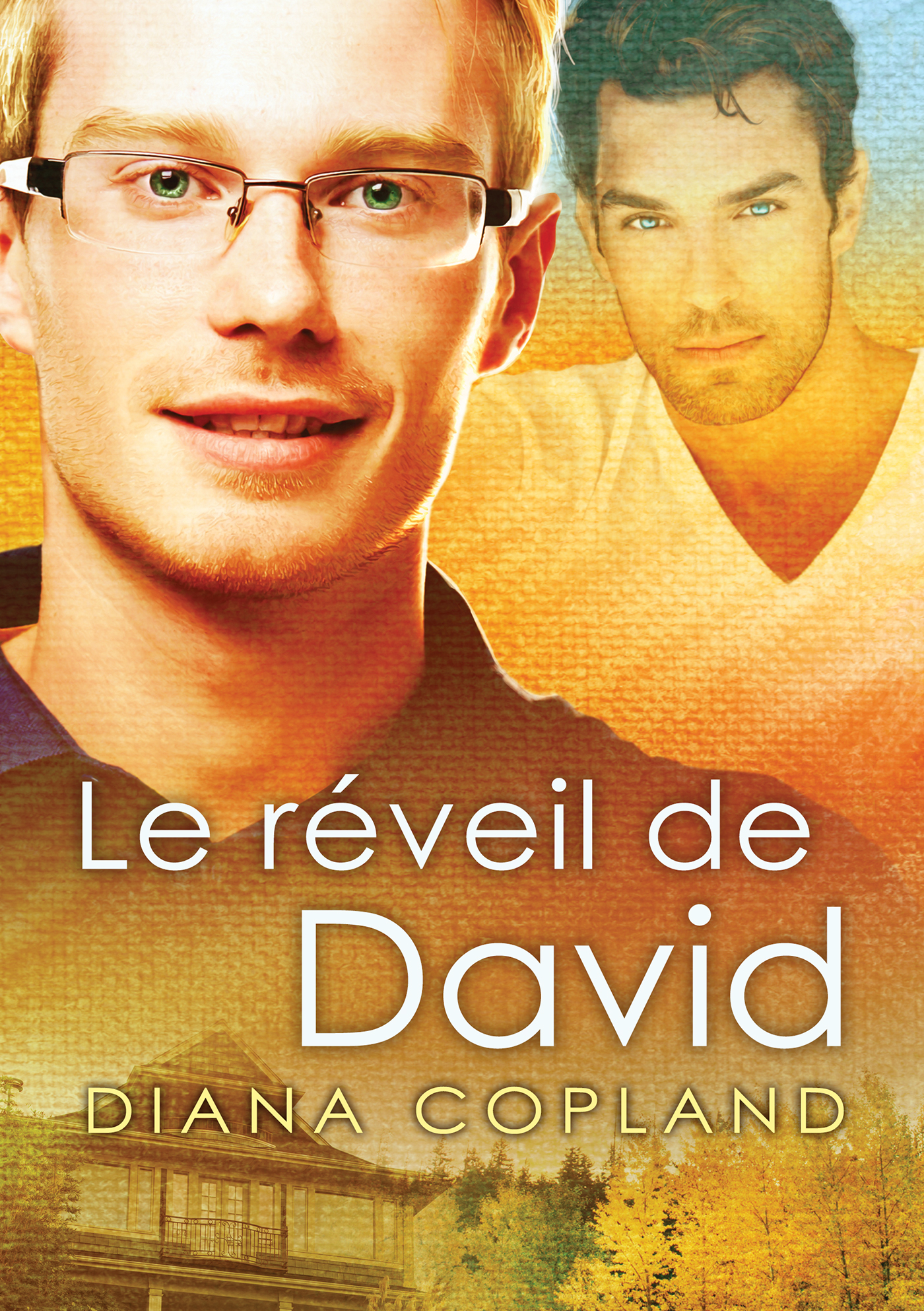 réveil de David, Delta Restauration