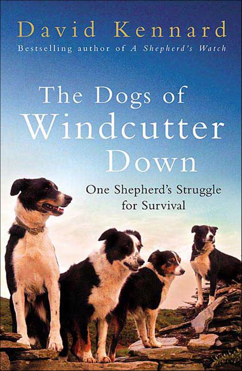 Dogs of Windcutter Down