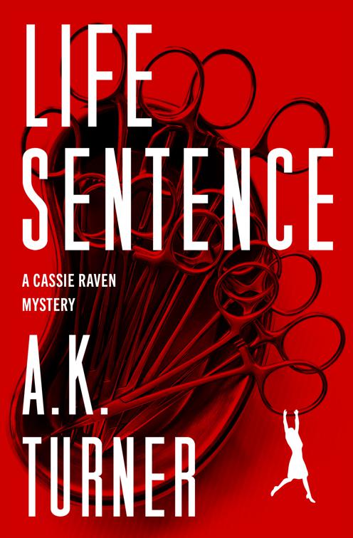 Body Language, The Cassie Raven Mysteries
