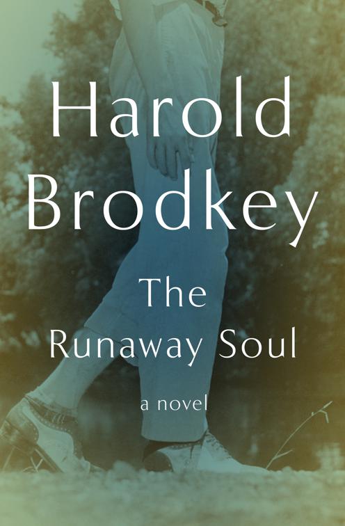 This image is the cover for the book Runaway Soul
