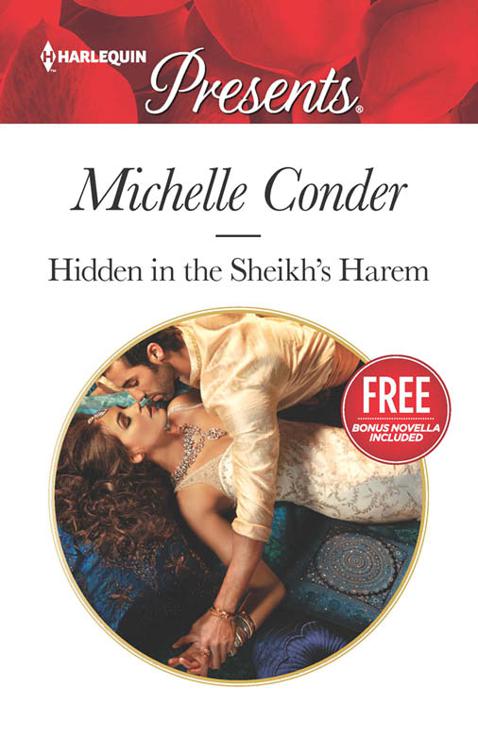 Hidden in the Sheikh&#x27;s Harem