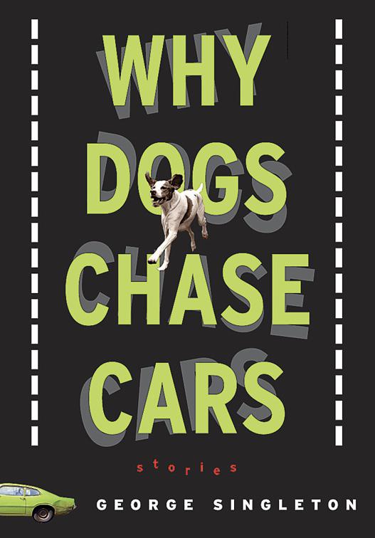 Why Dogs Chase Cars, Shannon Ravenel Novels
