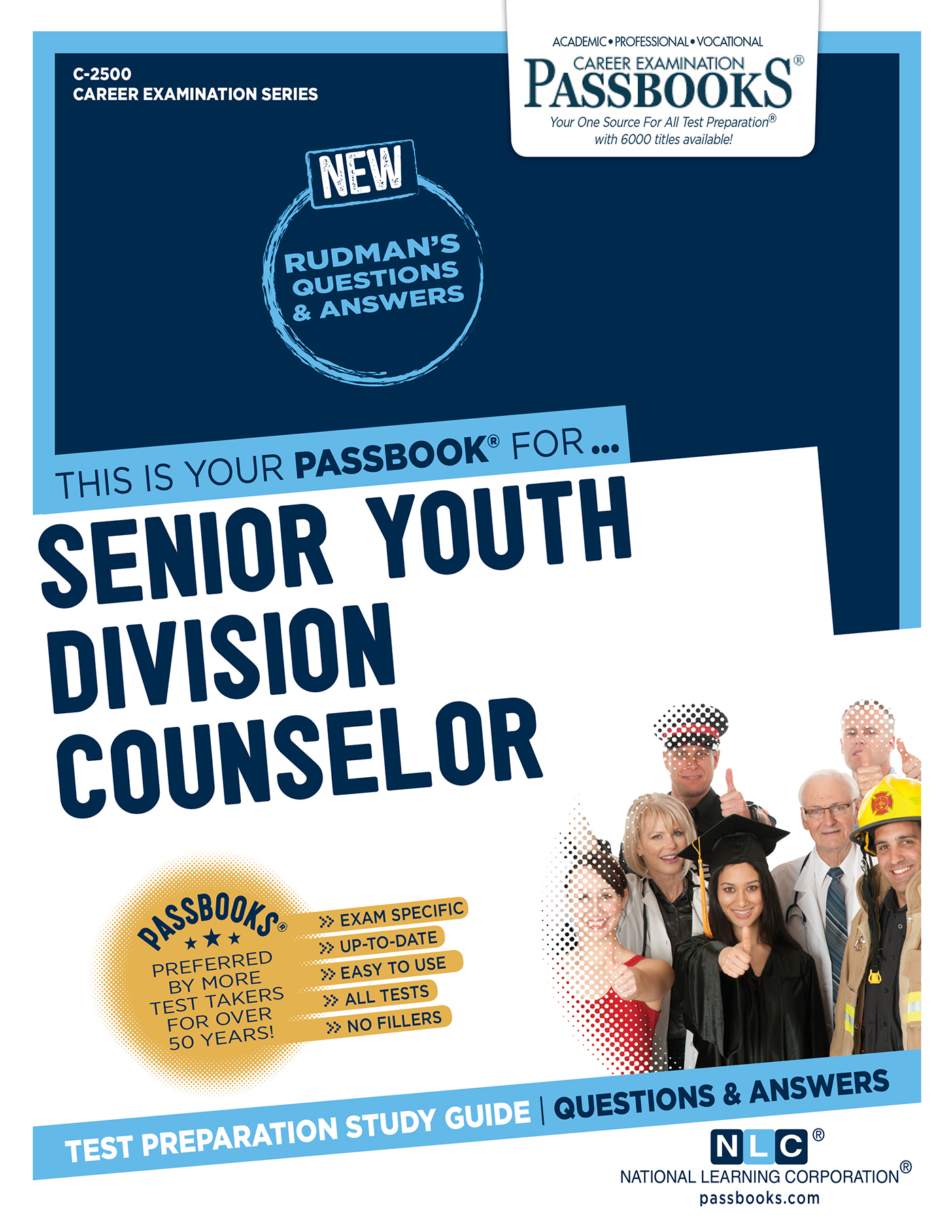 Senior Youth Division Counselor, Career Examination Series