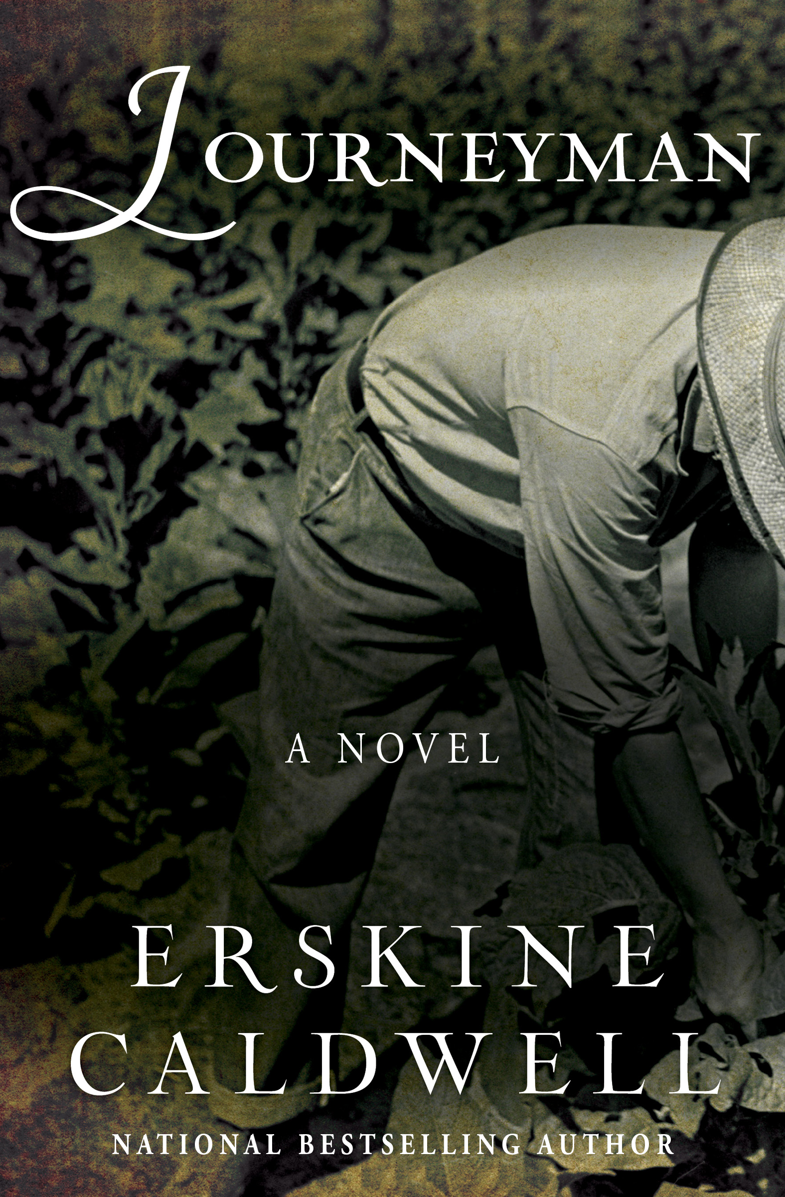 This image is the cover for the book Journeyman