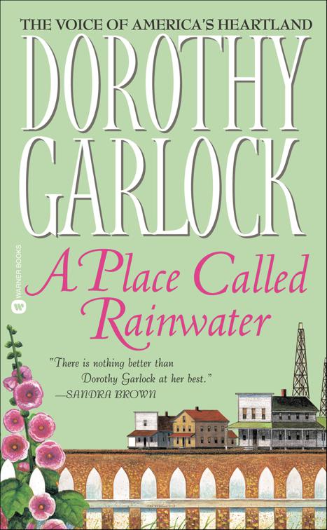 Place Called Rainwater, The Jones Family Series