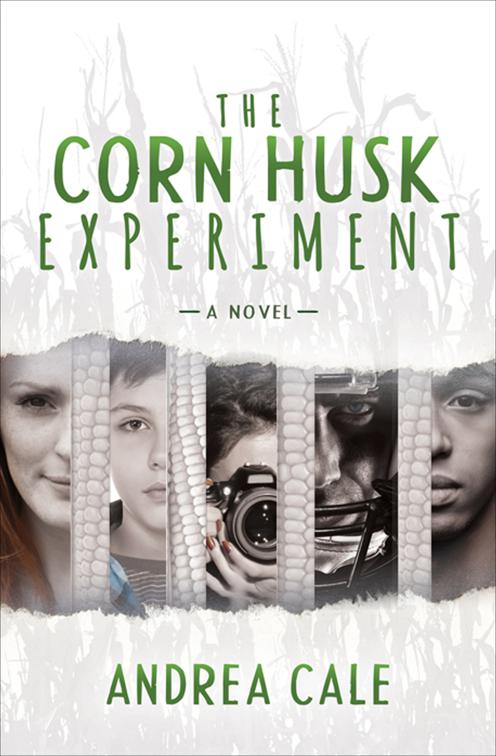 Corn Husk Experiment