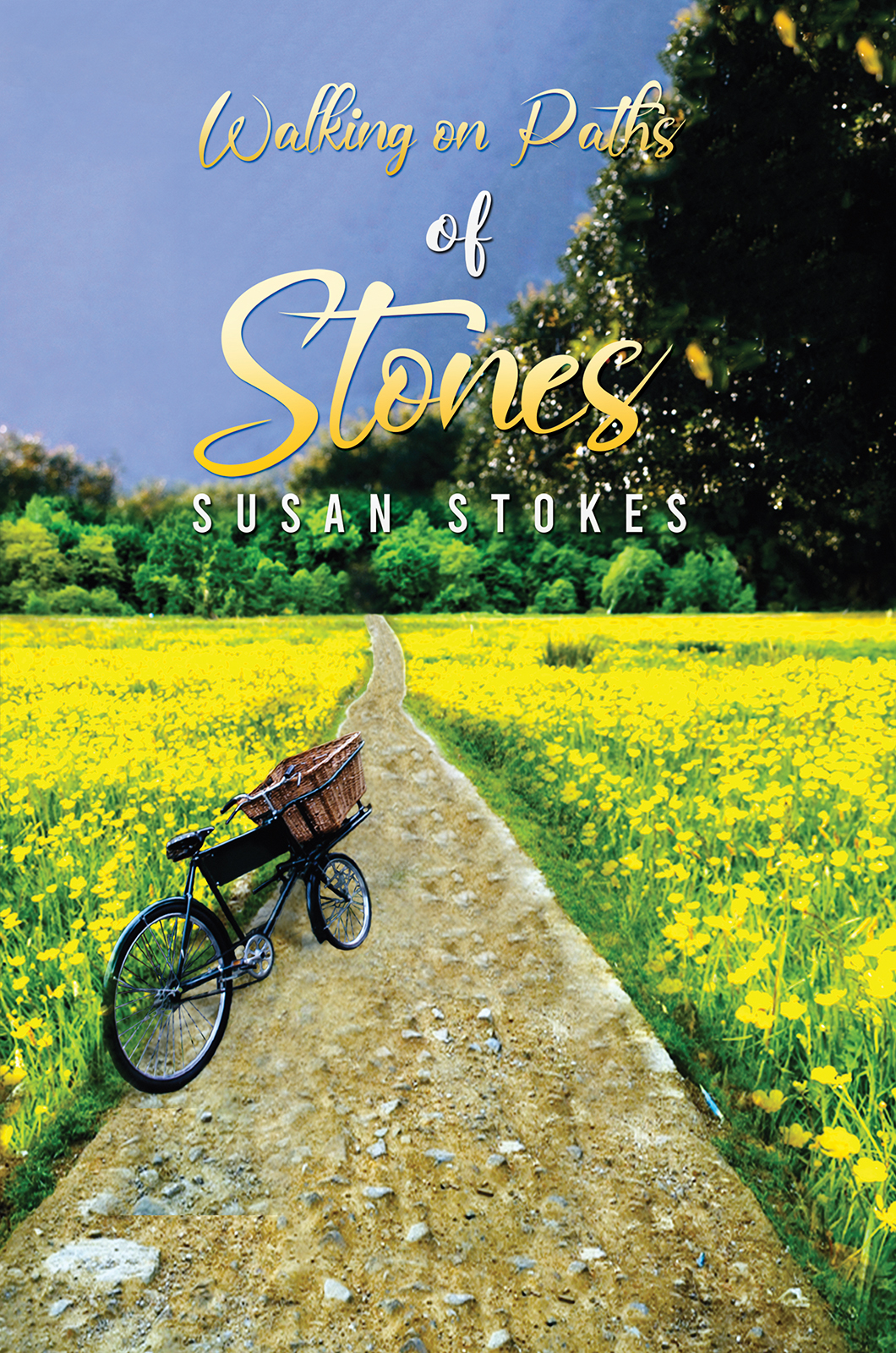 This image is the cover for the book Walking on Paths of Stones