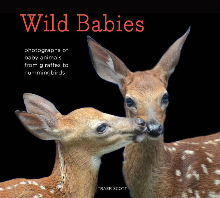 Wild Babies