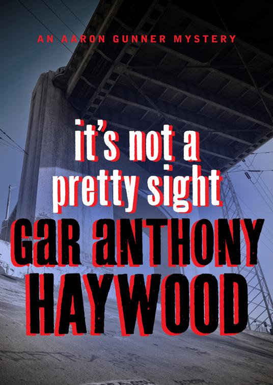 It&#x27;s Not a Pretty Sight, The Aaron Gunner Mysteries