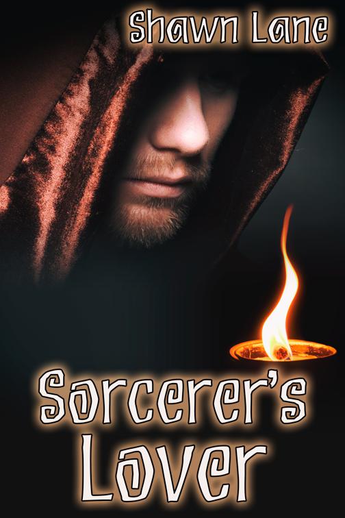 Sorcerer&#x27;s Lover