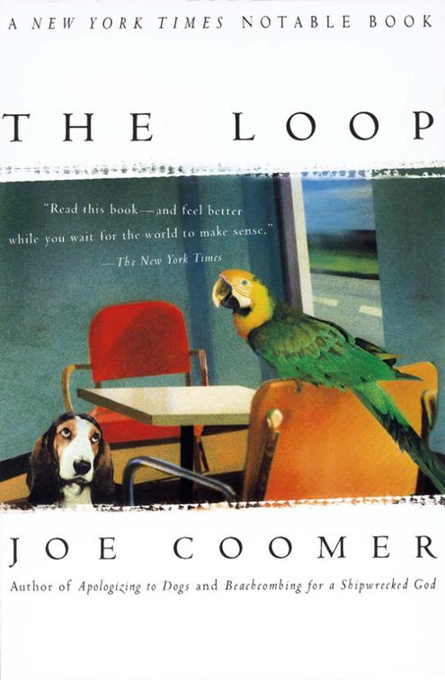 This image is the cover for the book Loop