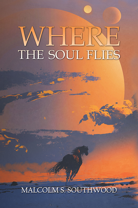 This image is the cover for the book Where the Soul Flies