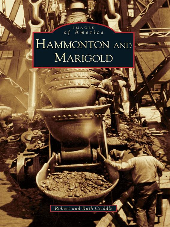 Hammonton and Marigold, Images of America