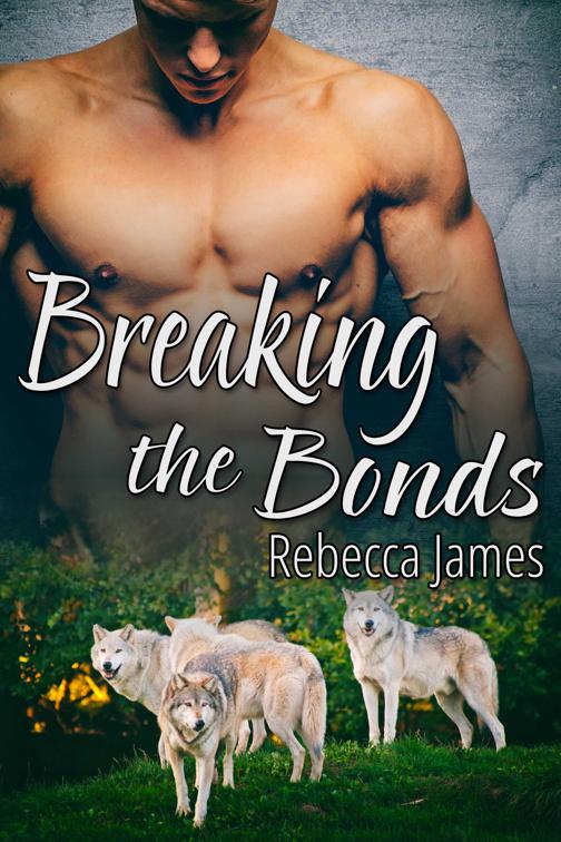 This image is the cover for the book Breaking the Bonds, Cascade City Pack