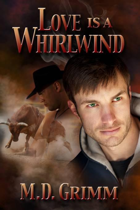 Love Is a Whirlwind, The Shifter Chronicles