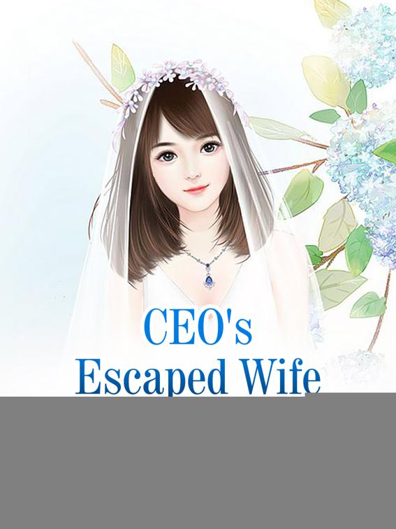 This image is the cover for the book CEO's Escaped Wife, Volume 4