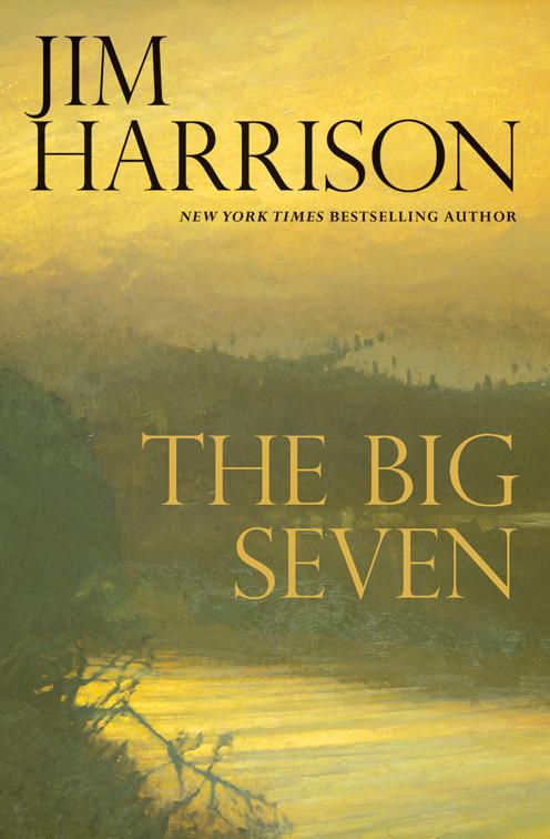 Big Seven, The Detective Sunderson Series