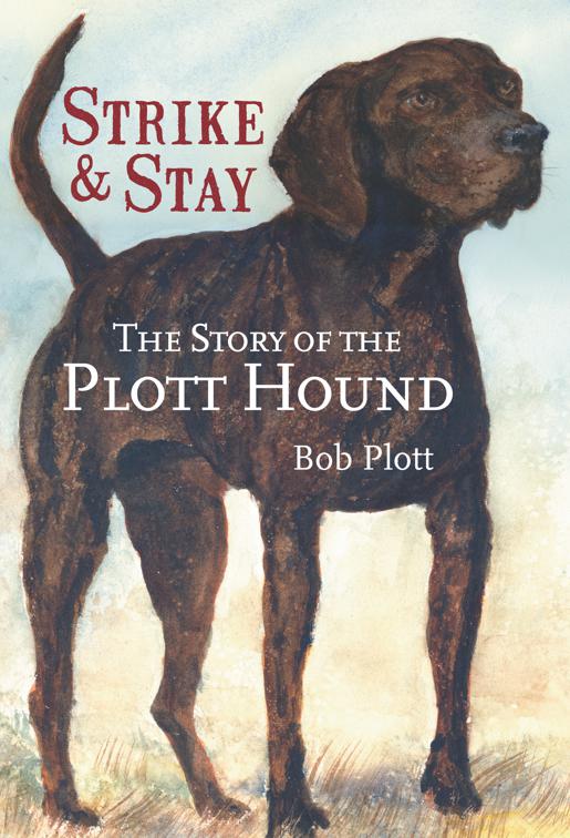 Story of the Plott Hound: Strike &amp; Stay