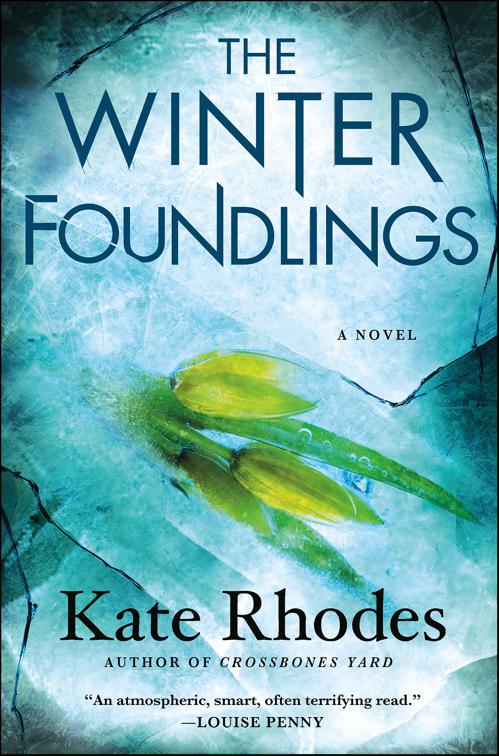 Winter Foundlings, Alice Quentin Series